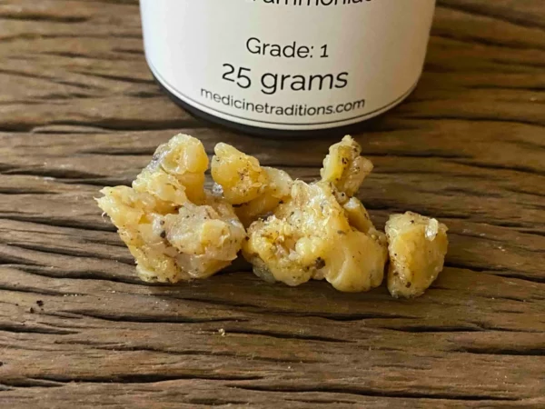 Gum Ammoniac 25 grams - Image 2