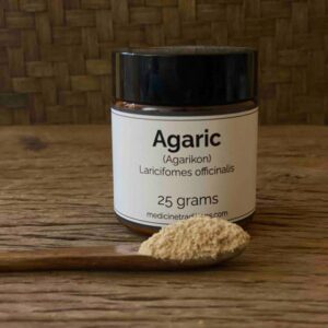 White Agaric Powder 25 grams