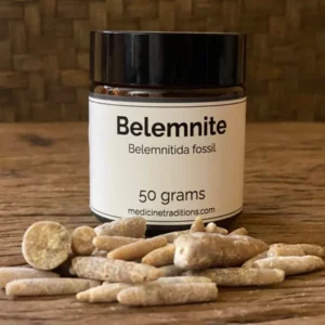 Belemnite 50 grams