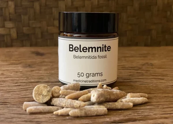 Belemnite 50 grams