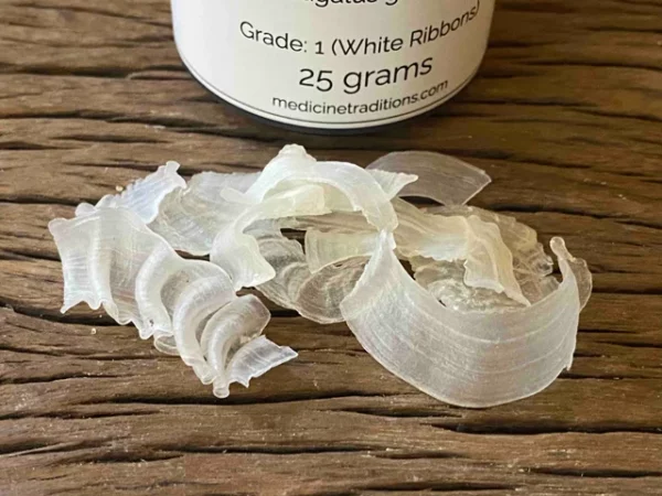 Gum Tragacanth 25 grams - Image 3