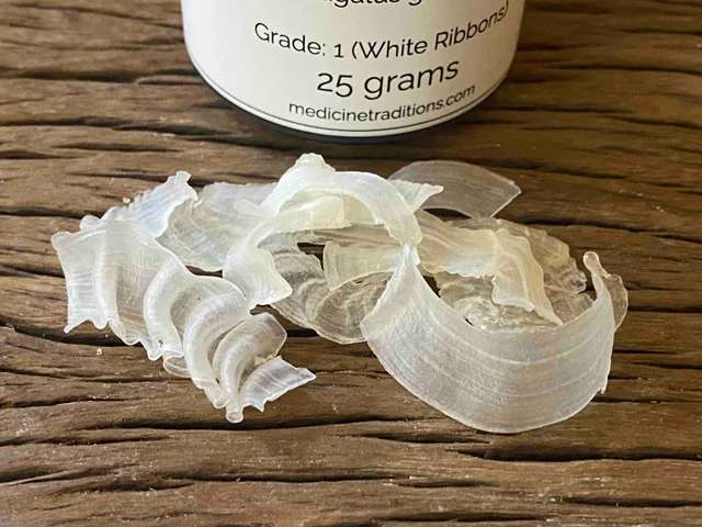 Gum Tragacanth 25 grams - Image 3