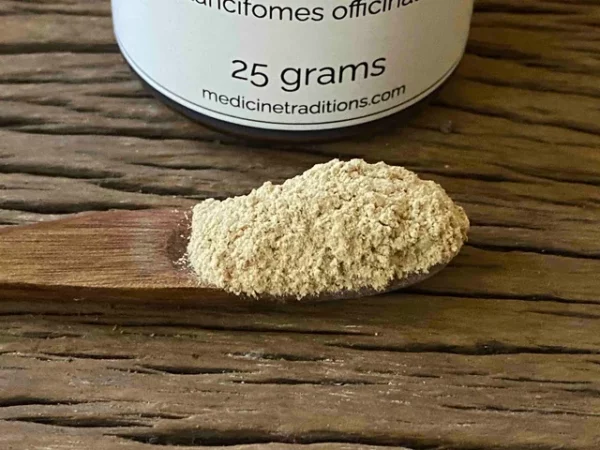 White Agaric Powder 25 grams - Image 2