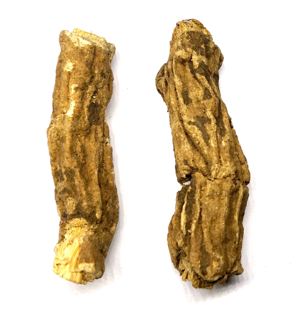 White Turbith Root Powder 50 grams - Image 2